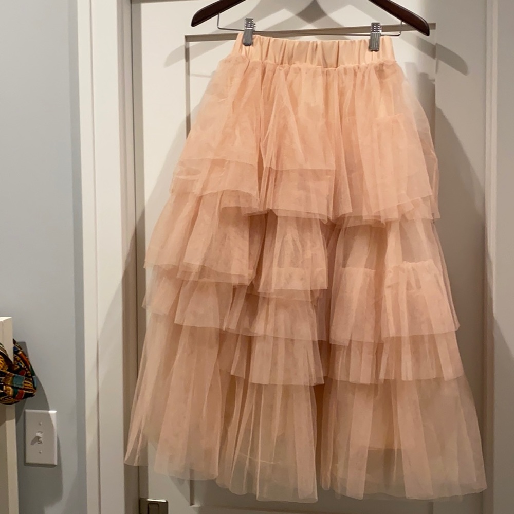 ChicWish Tulle Skirt